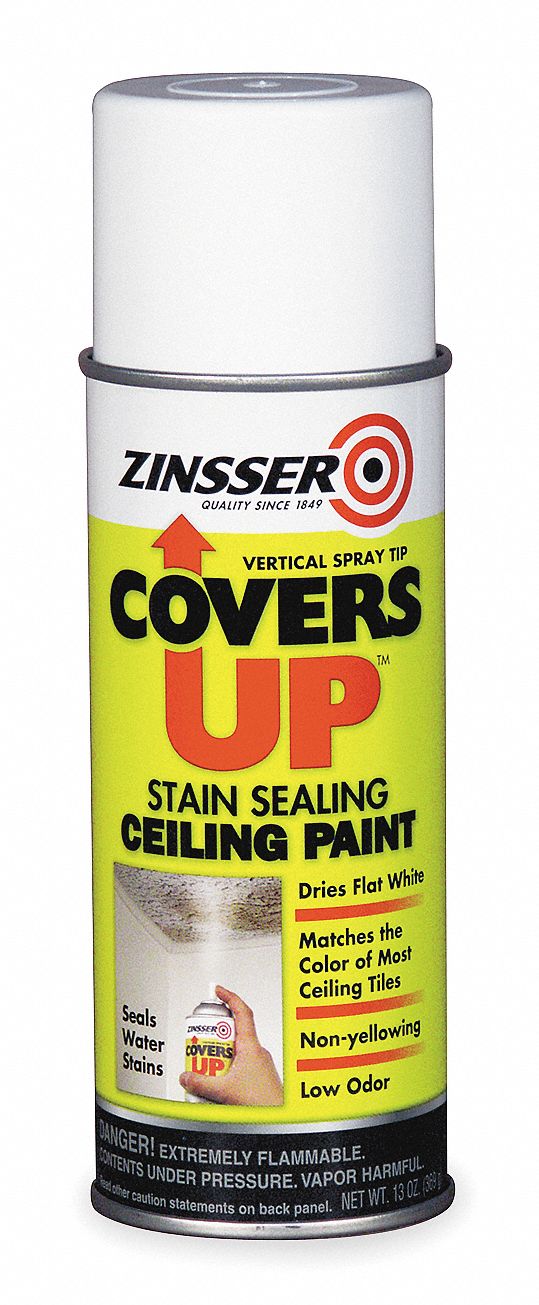 Stain Sealing Paint, 13 Oz