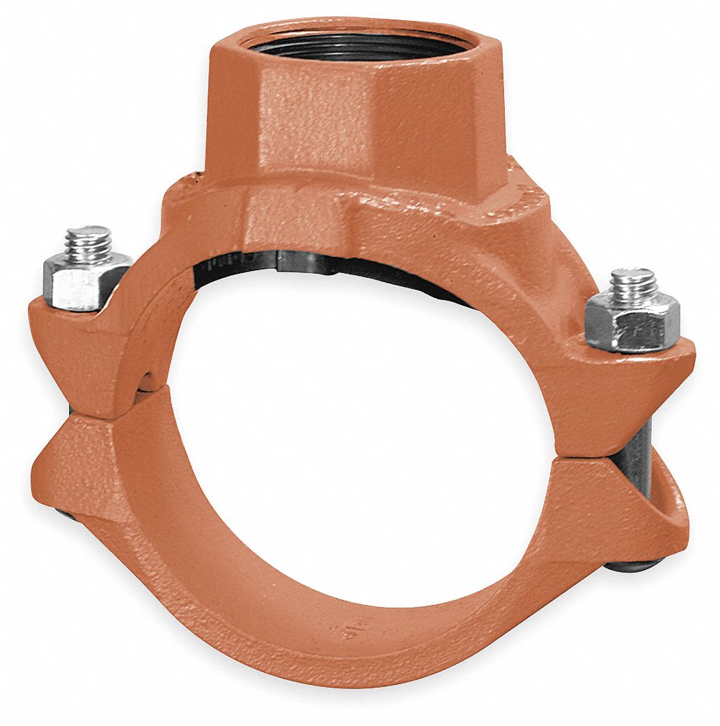 Clamp, FPT Branch, 2 x 1 1/2 In