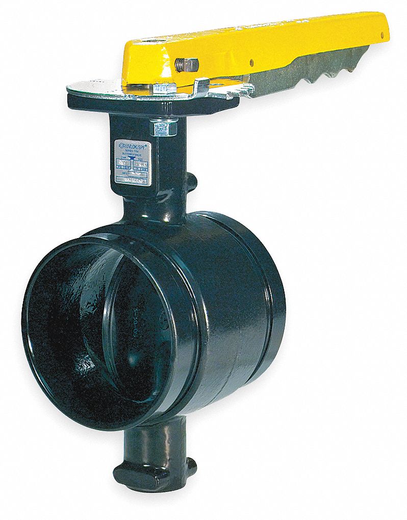 Butterfly Valve, Grooved, 4 In, Iron
