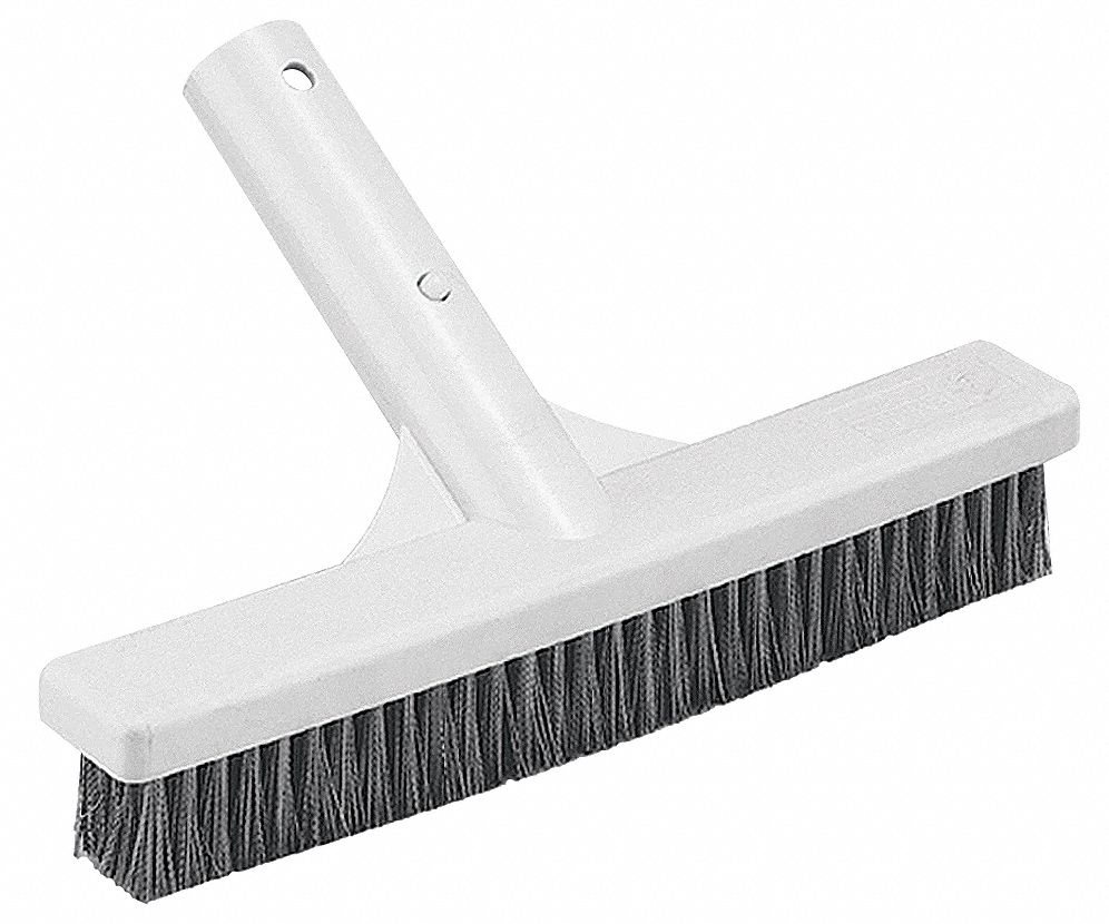 Algae Brush, SS, 9 In L