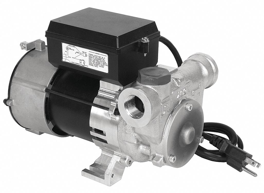 Vane Pump, SS, 3/4 In FNPT