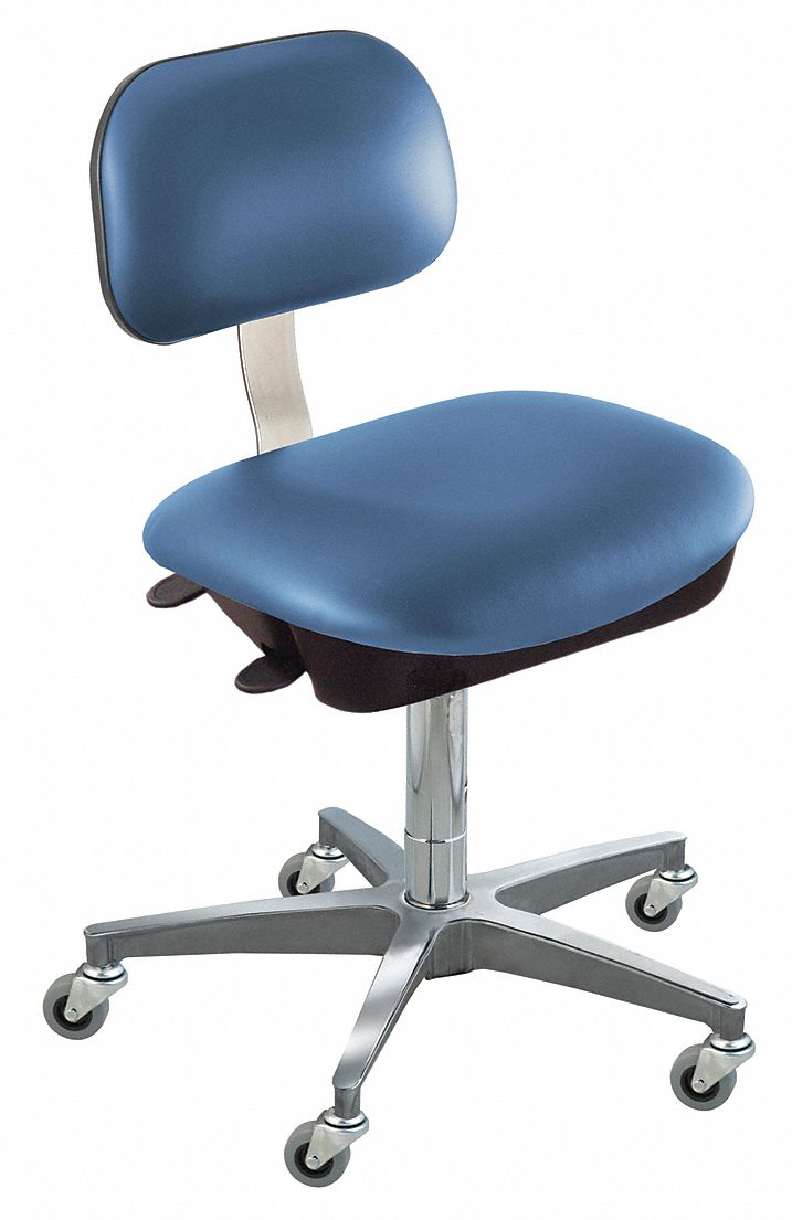 Ergo Chair, Royal, Vinyl, Class 10