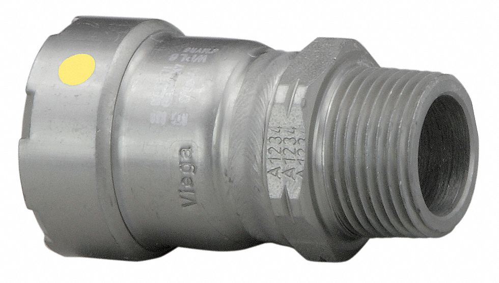 Adapter, 1-1/2 x 1-1/2 In, P x MNPT