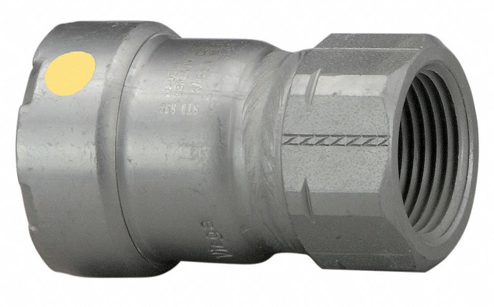 Adapter, 2 x 2 In, P x FNPT