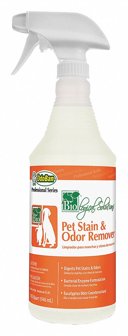 Carpet Stain & Odor Remover, 32 oz, PK 12