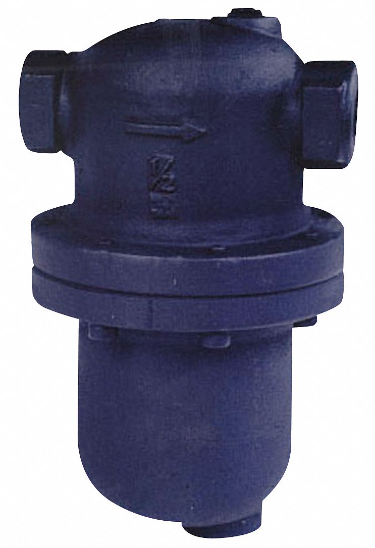 Steam Separator, 1-1/2 In, 300 psi