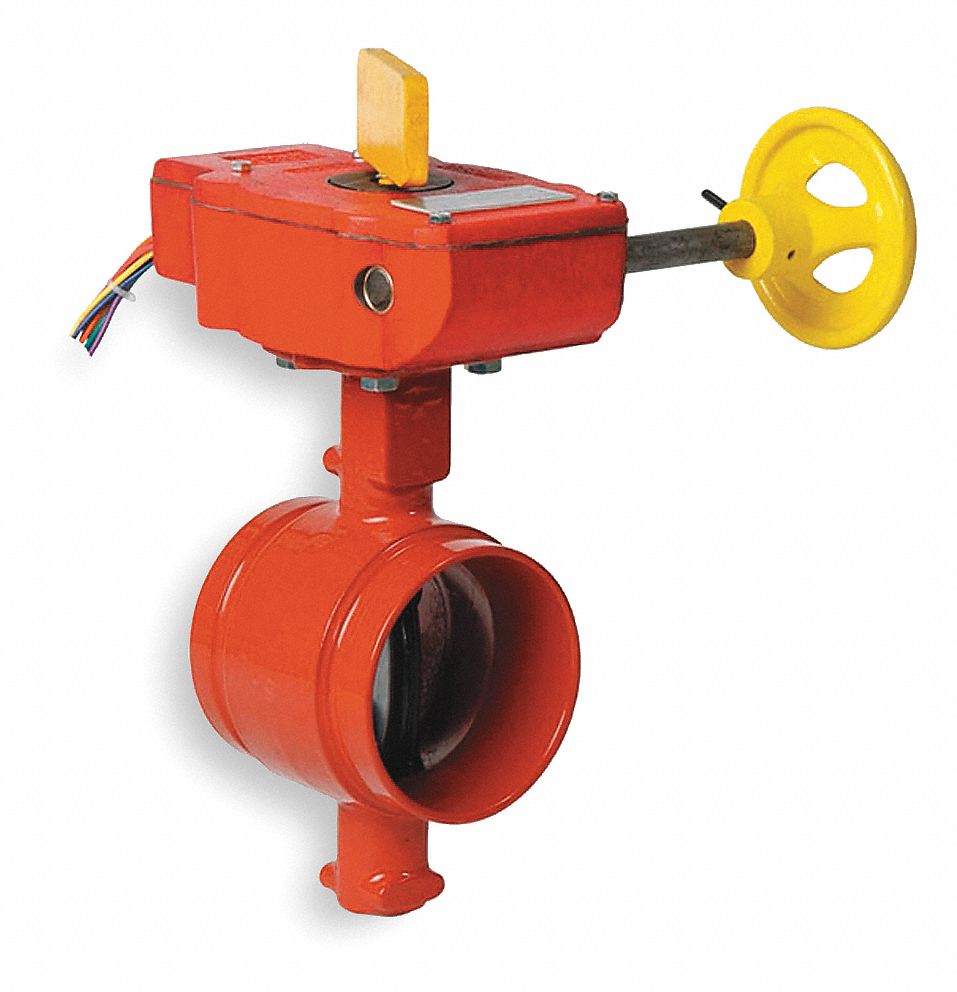 Butterfly Valve, Grooved, 2 In, Iron