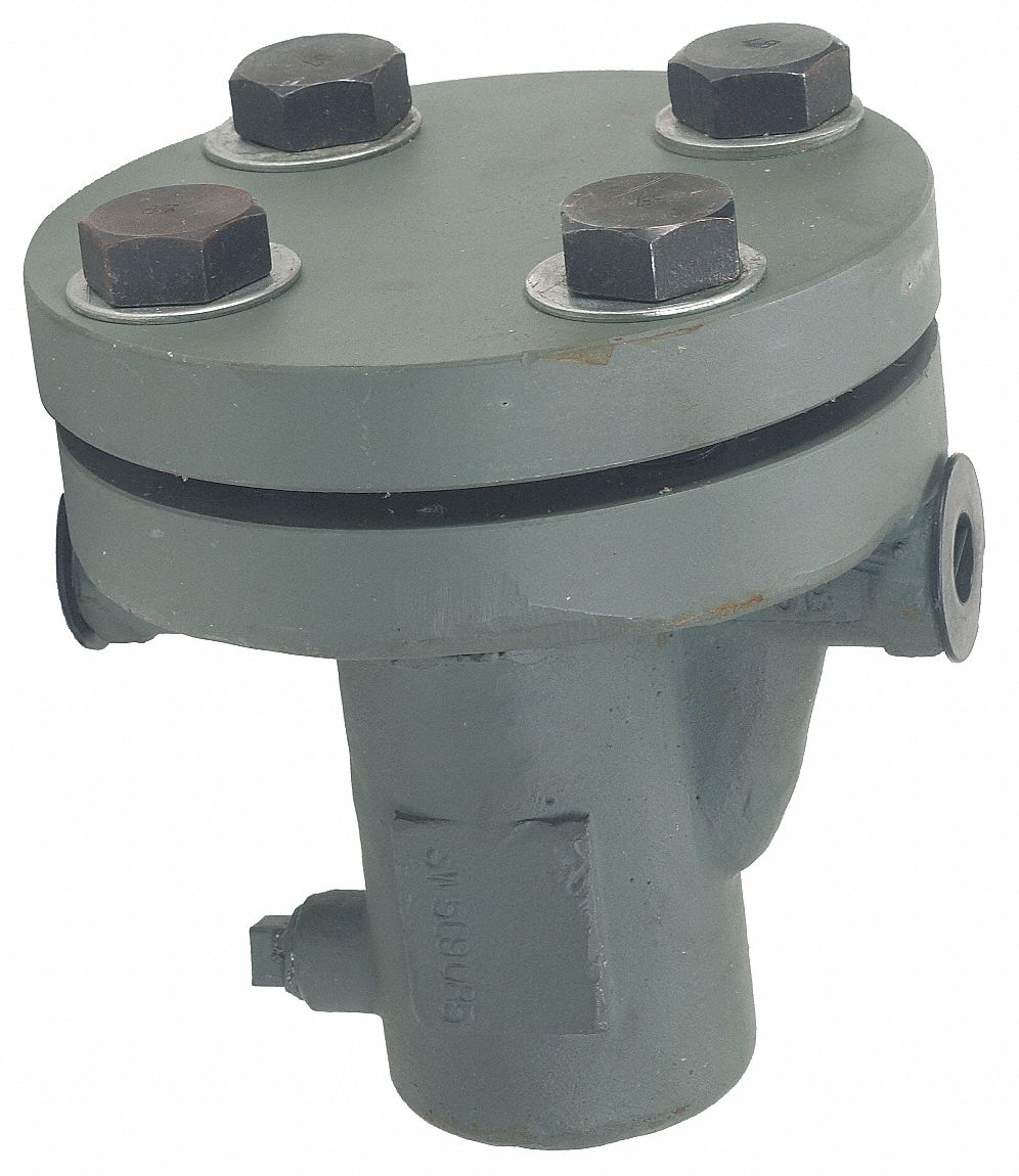 Basket Strainer, 2 In NPT, SS