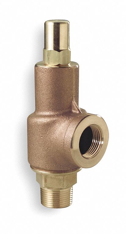 Adjustable Relief Valve, 2 In, 125 psi