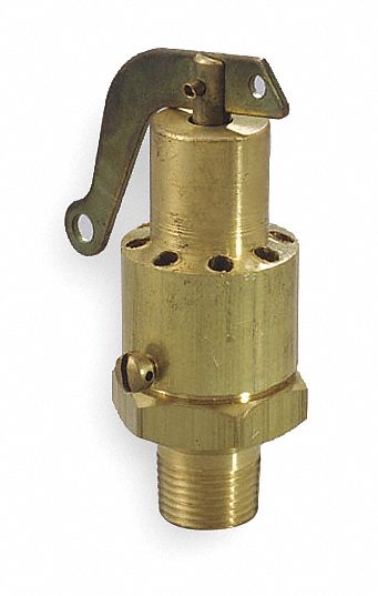 Safety Valve, 0.25 In, MNPT, Brass