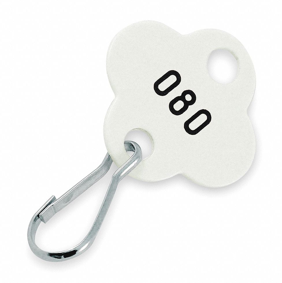 Shamrock Tags, White, 201-300, PK 100