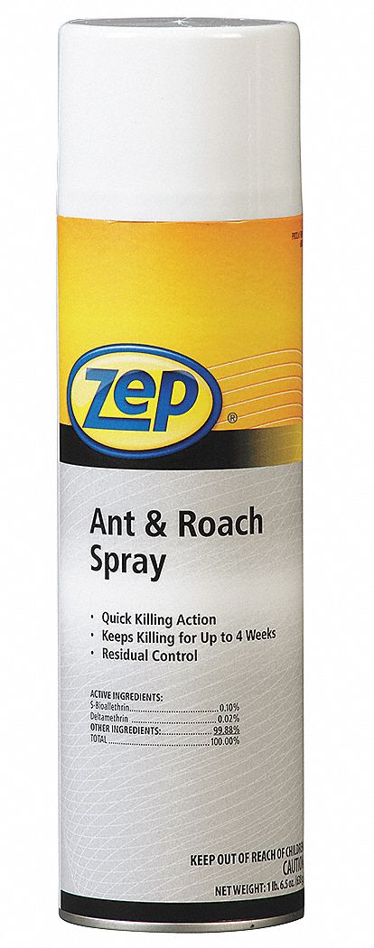 Ant and Roach Killer, 20 Oz.