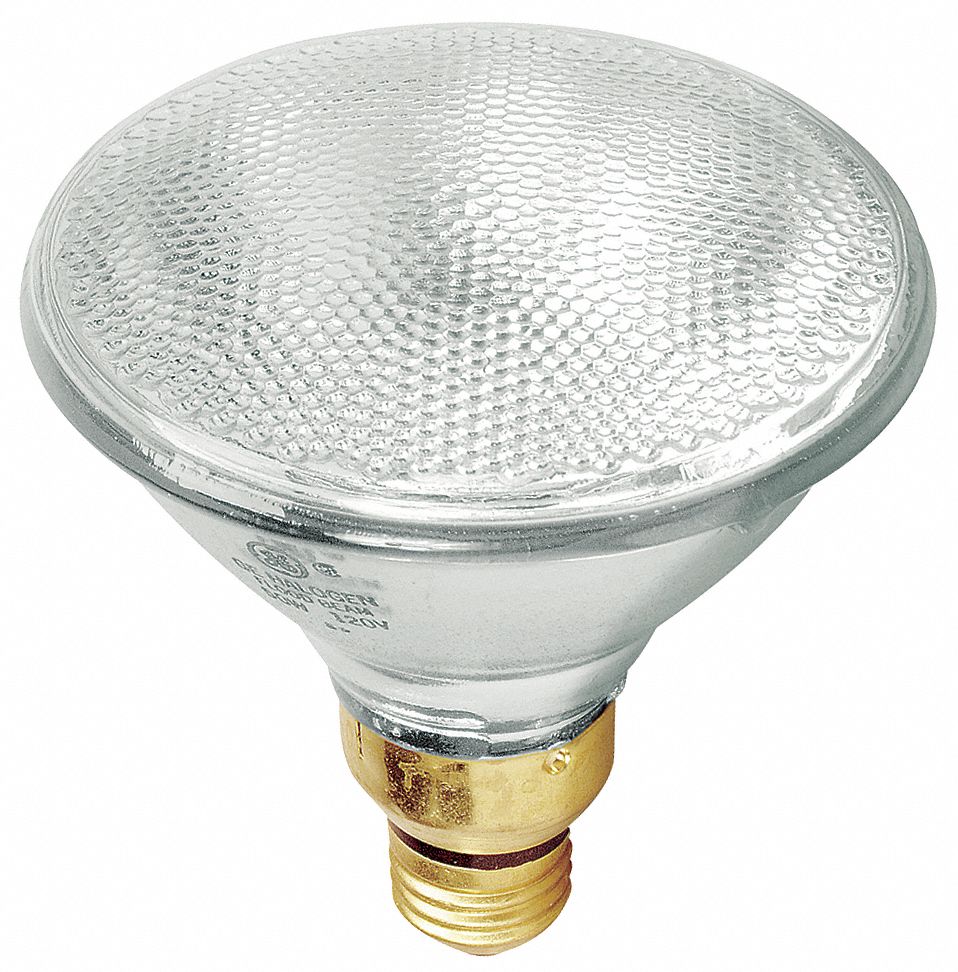 Halogen Floodlight, PAR38, 90W