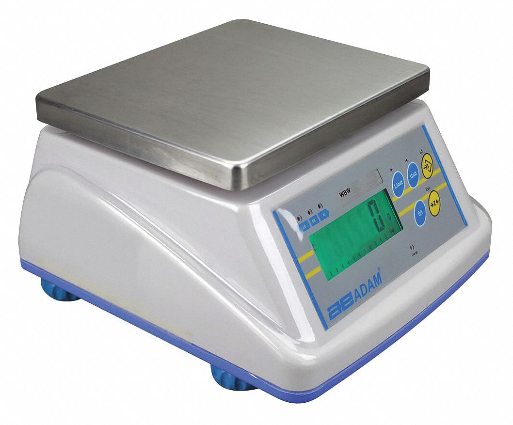 Dgtl Pckgng/Prtng Scale, 4000g/9 lb. Cap.