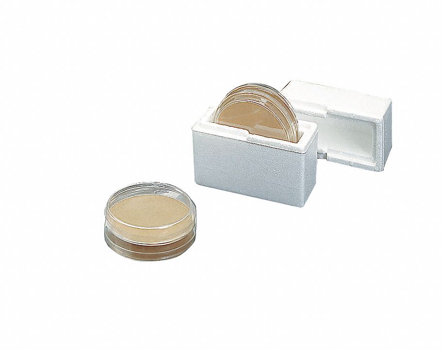 Petri Dish Mailer, 6-1/4 In H, PK 48