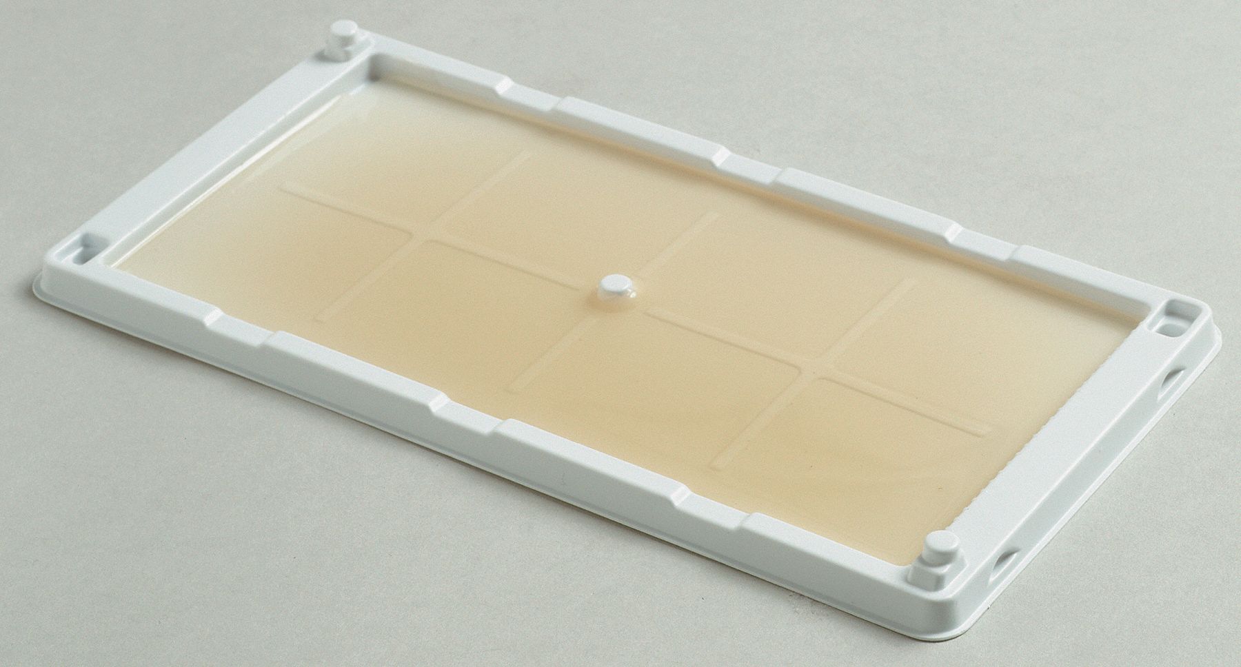 Mouse, Glue Trap, PK 2