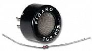 Replacement Sensor, Combustibles