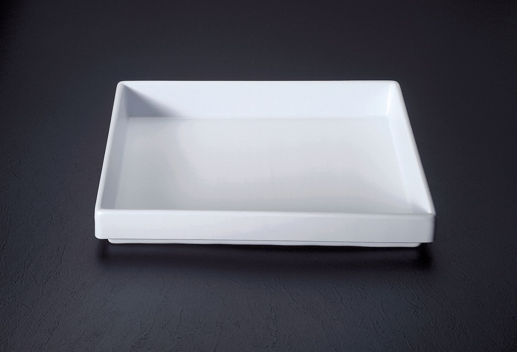Organizer, Containment Tray, 2.5x17x13In