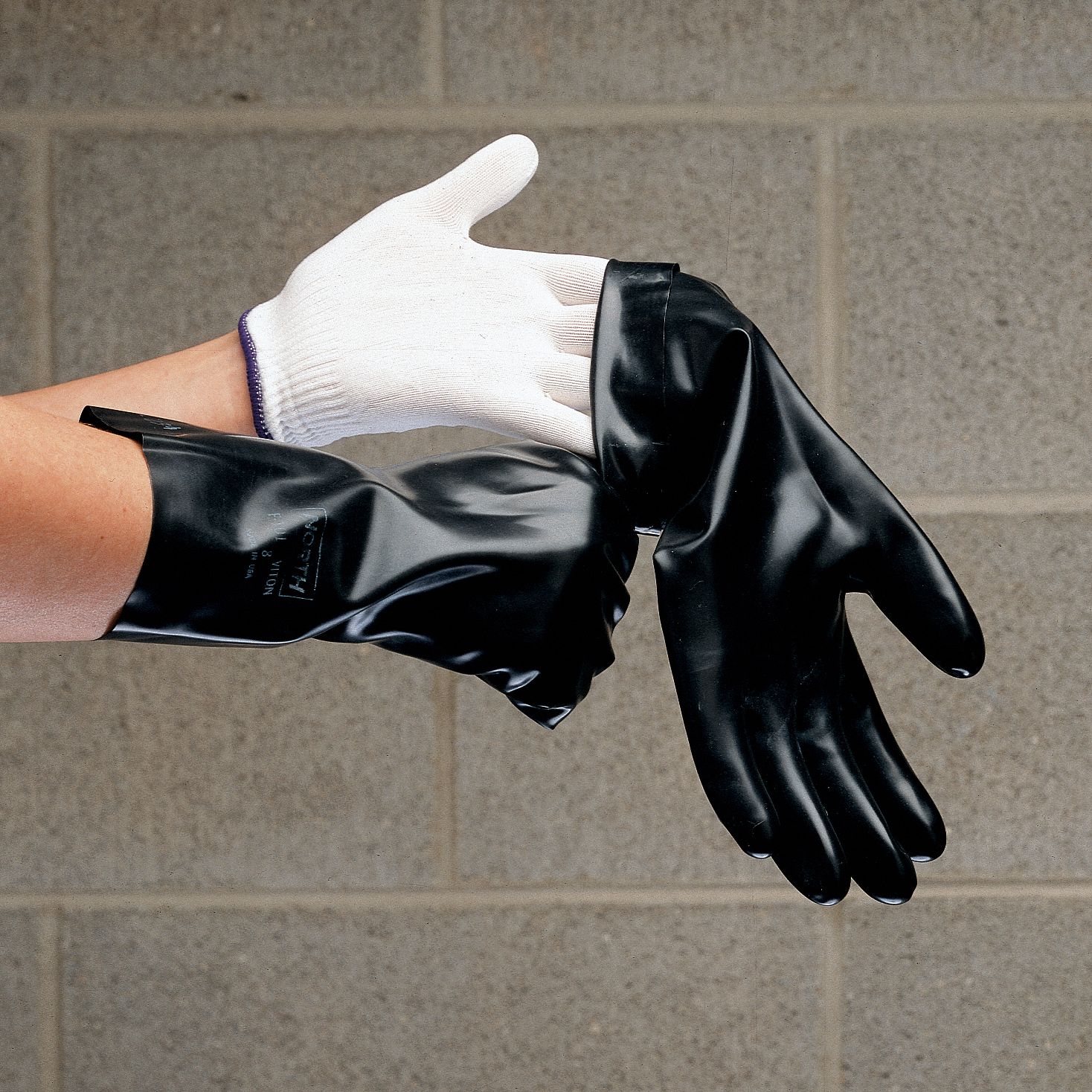 Glove Liner, White/Blue, Regular, PK 10