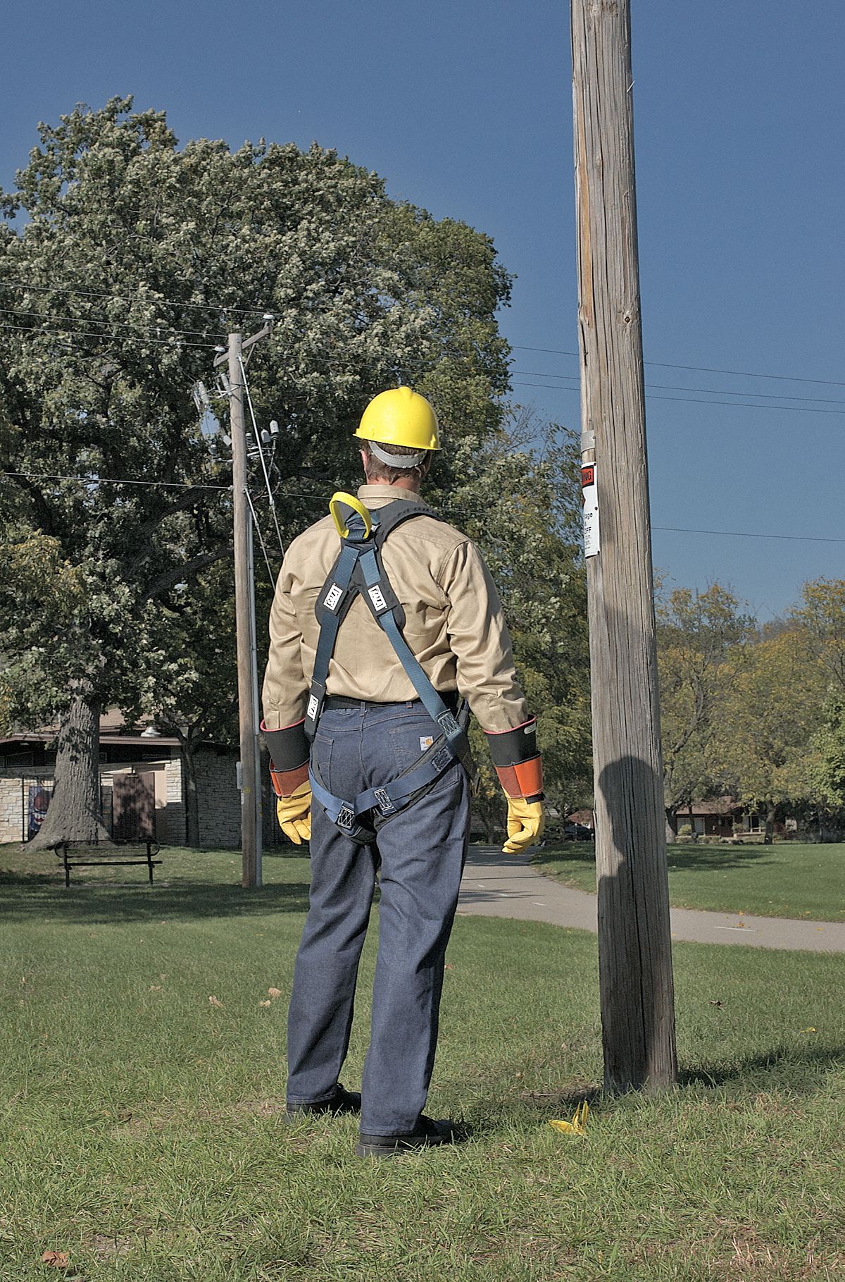 Full Body Harness, M, 420 lb., Bl/Gry/Ylw
