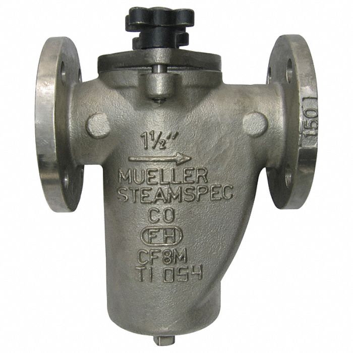 Basket Strainer, 2 In, Flanged, SS