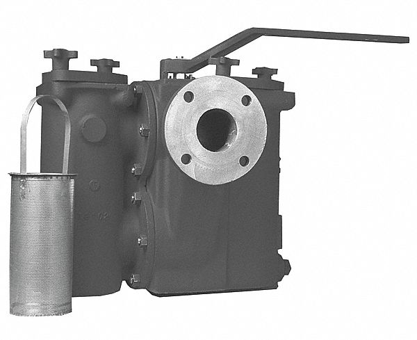 Duplex Strainer, 2 1/2 In, Flanged, CI