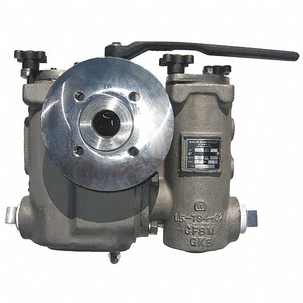 Duplex Strainer, 2 In, Flanged, SS