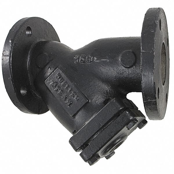 Y Strainer, 2 In, Flanged, Cast Iron