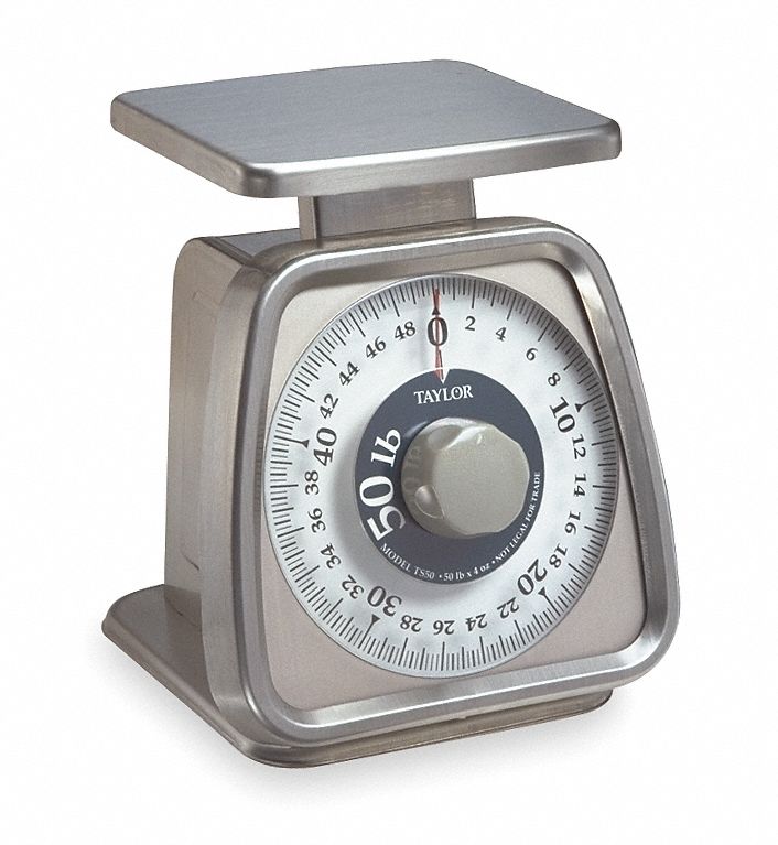 Mechanical Dial Scale, SS Platform