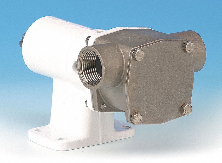 Pump, Pedestal, 1 In (F)NPT