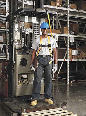 Fall Protection Kit, Univ., 310 lb, 6 ft. L