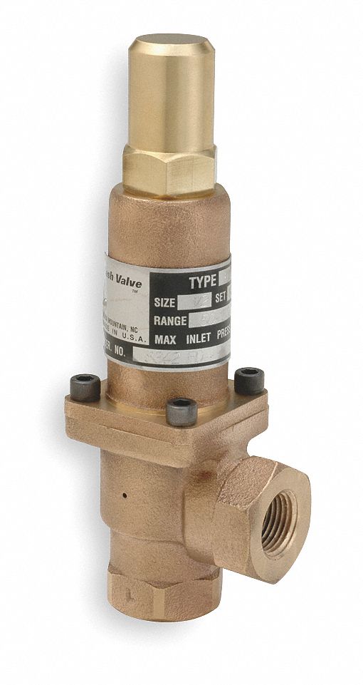 Back Pressure Valve, Bronze, 1 In