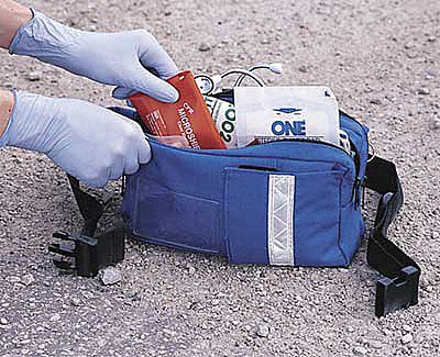 Fanny Pack, Royal Blue, 10-1/2 In.L