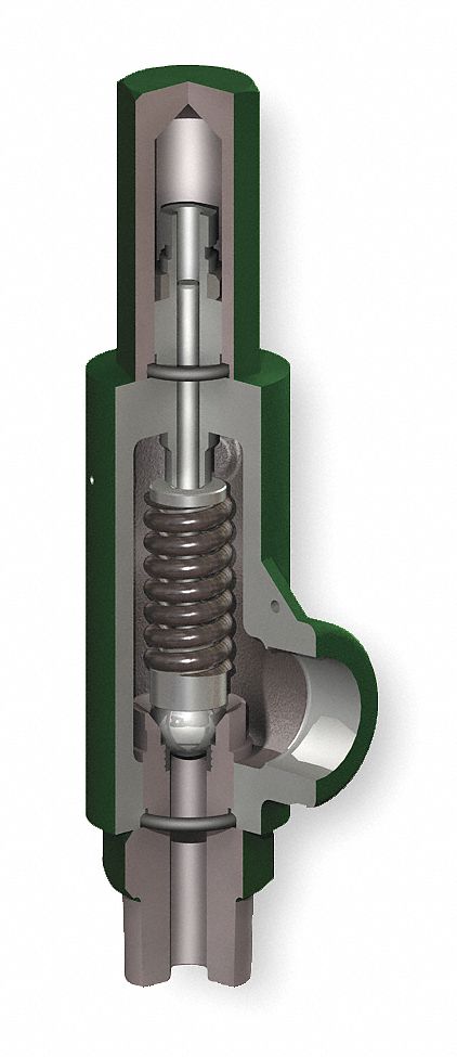 Relief Valve, 1 In, 1000 PSI