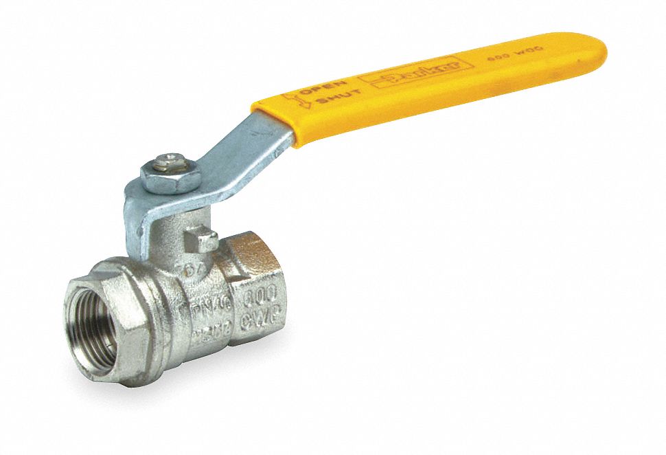 NP Brass Ball Valve, BSPP x BSPP, 3/4 In