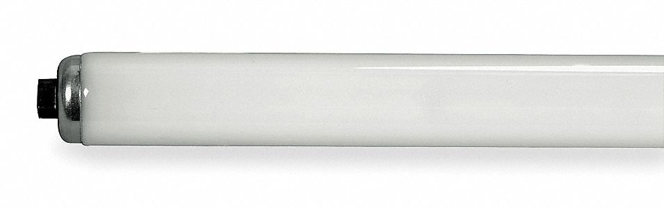 Fluorescent Lamp, T12, Daylight, 6500K