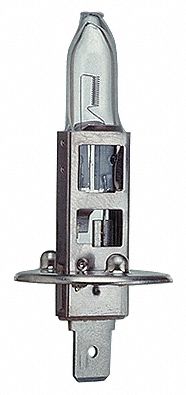 Replacement Halogen Bulb, 55W