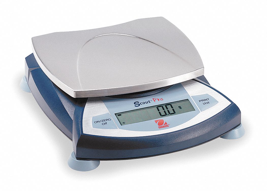Digital Balance, SS Platform, 2000g Cap.