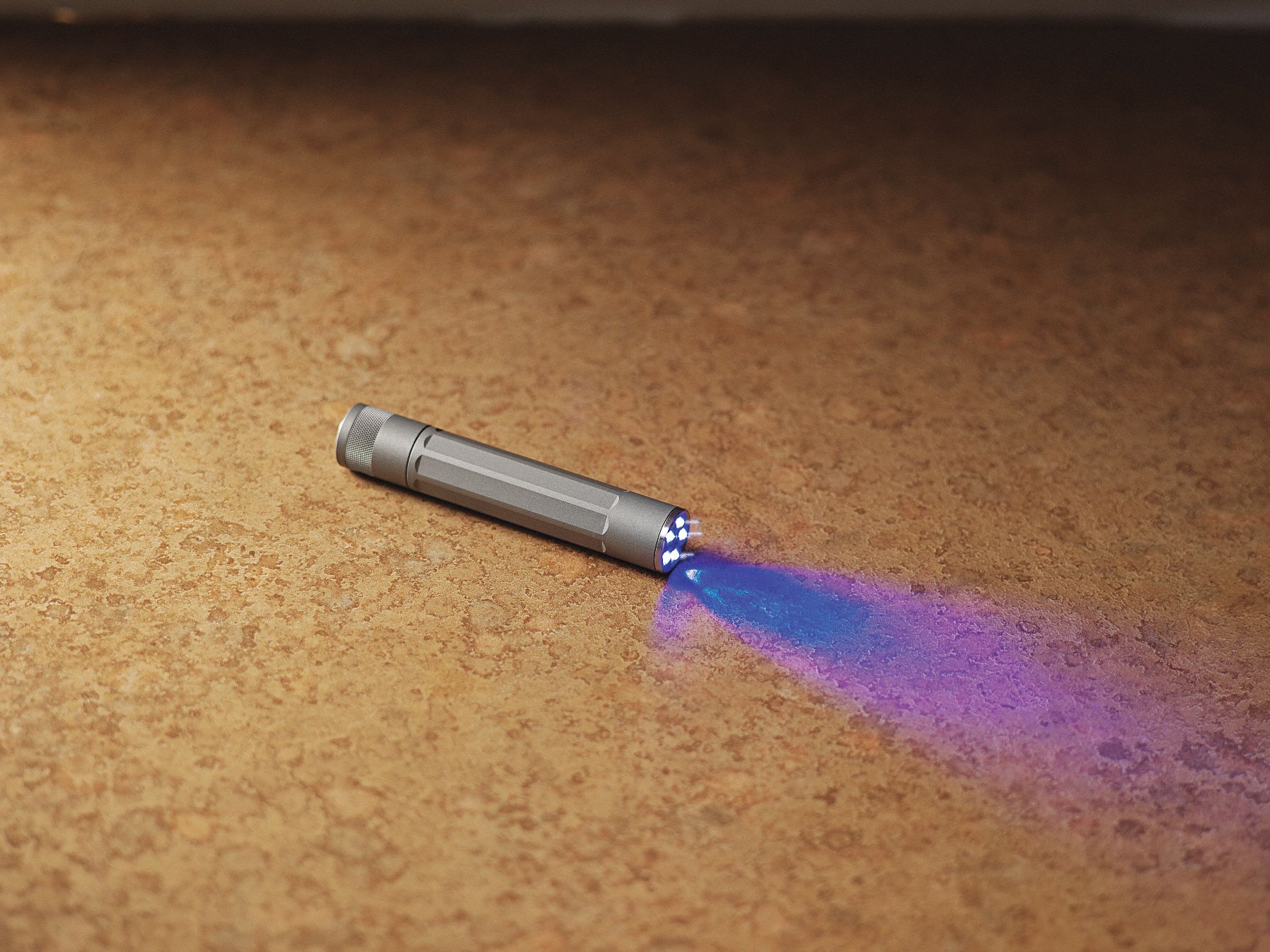 General Purpose Flashlight, 2 In Diameter