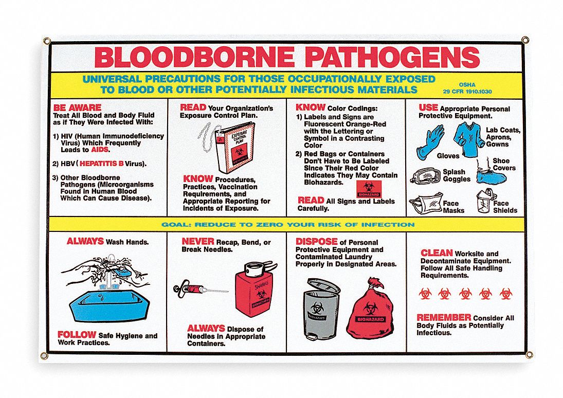 Training Poster, 18 x 24In, Laminated PPR
