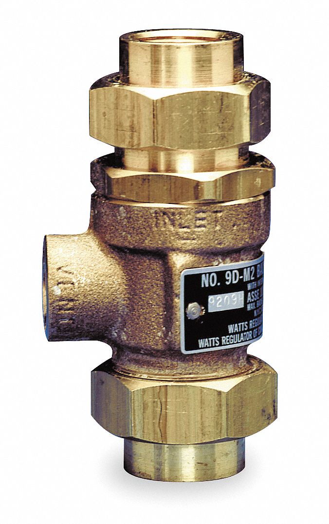 Dual Check Valve, 3/4 In
