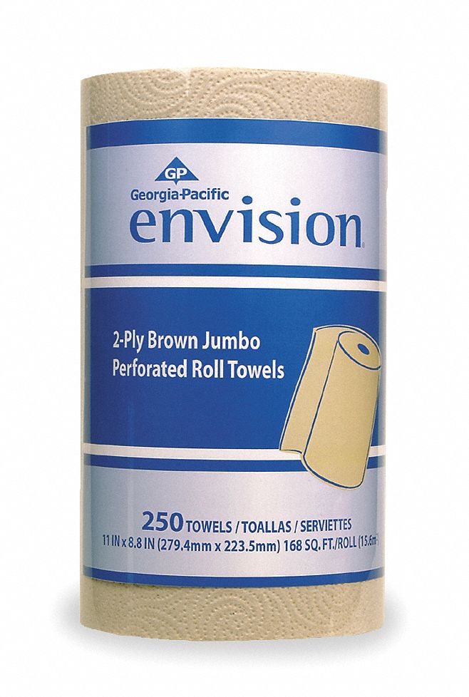 Paper Towel Roll, Envision, 250CT, PK12