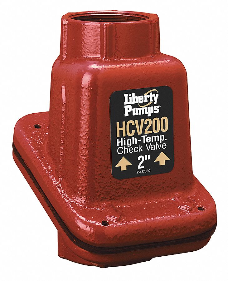 Check Valve, 2 In, FNPT, Cast Iron