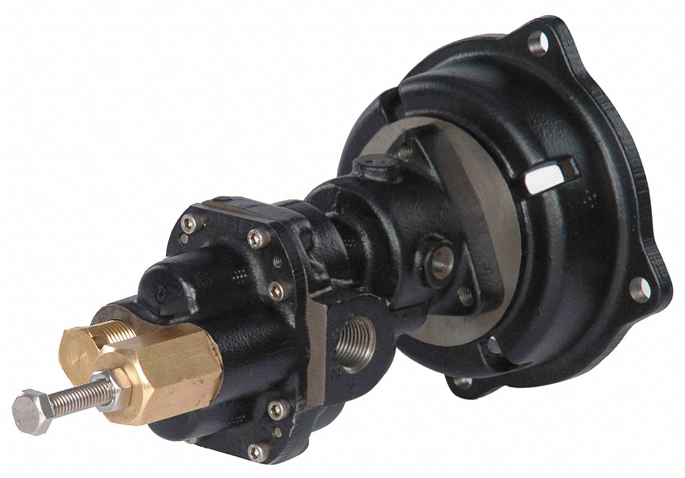Rotary Gear Pump Head, 3/8 In., 3/4 HP