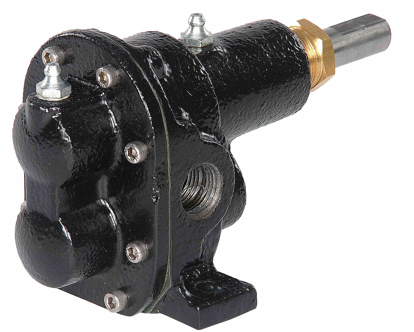 Rotary Gear Pump Head, 1 In., 1 HP