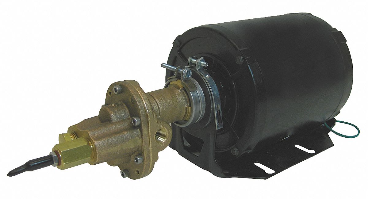 Rotary Gear Pump, Bronze, 1/3 HP