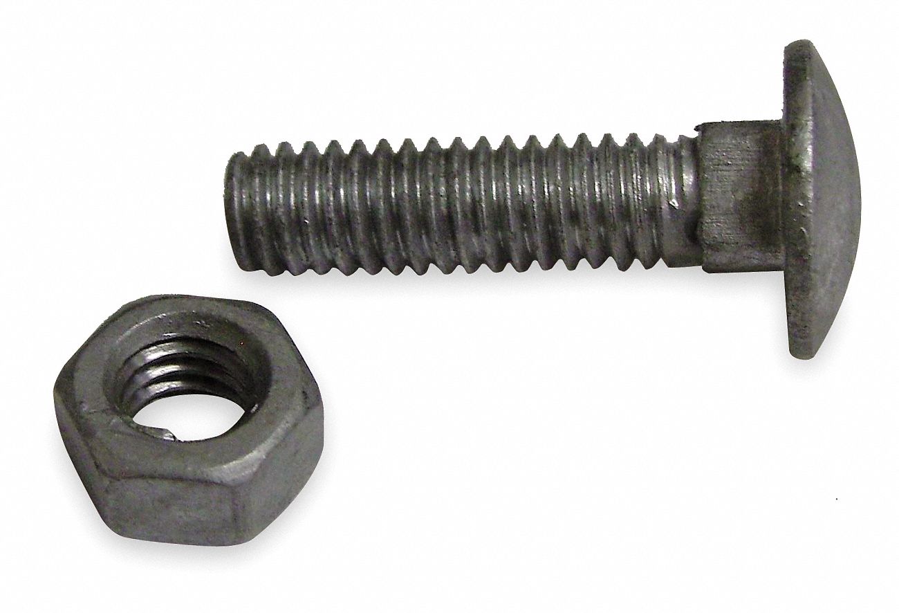 Carriage Bolts, Steel, 5/16 In Dia., PK 20