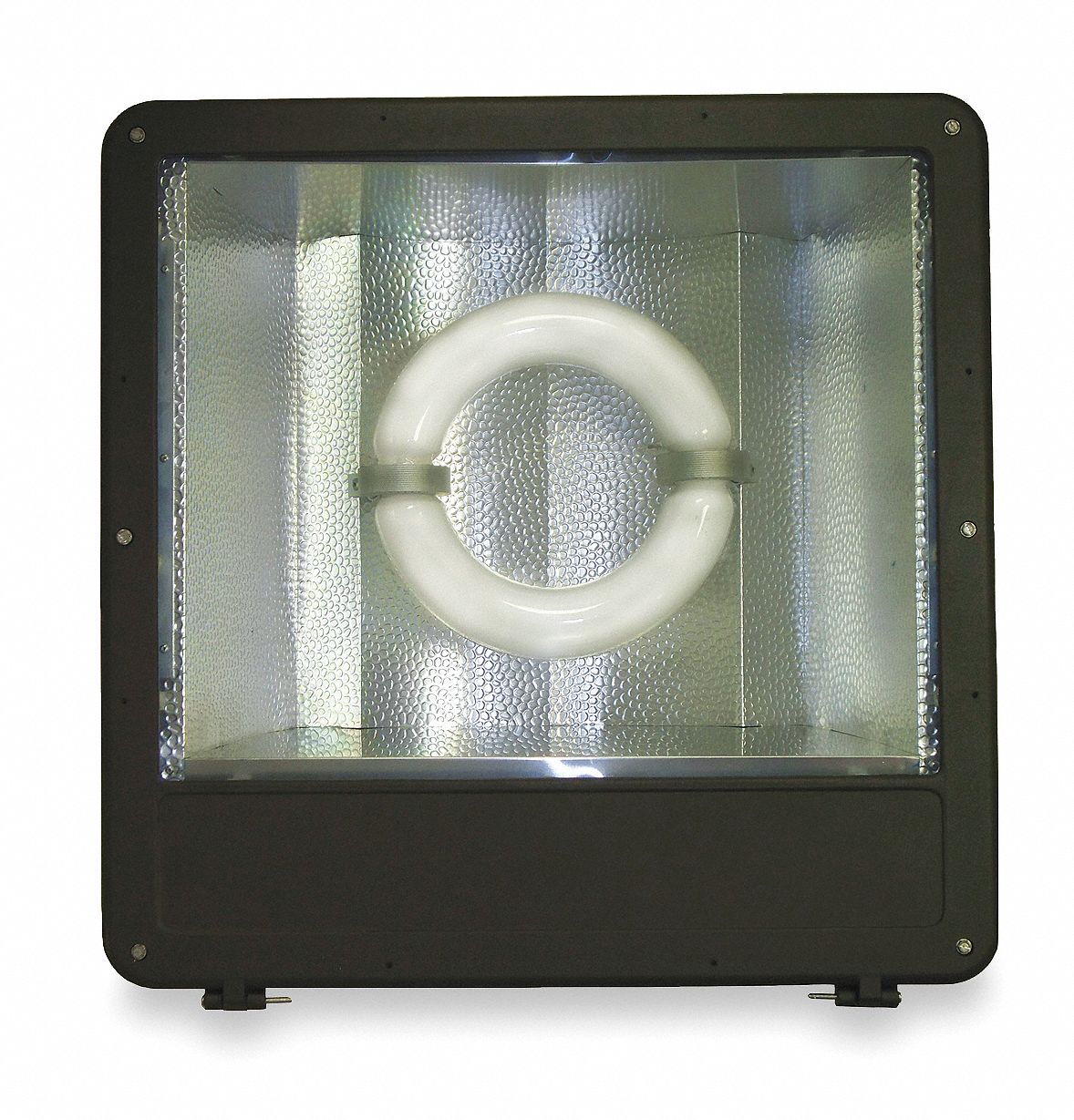 Floodlight, Induction, 80 W, 120 V