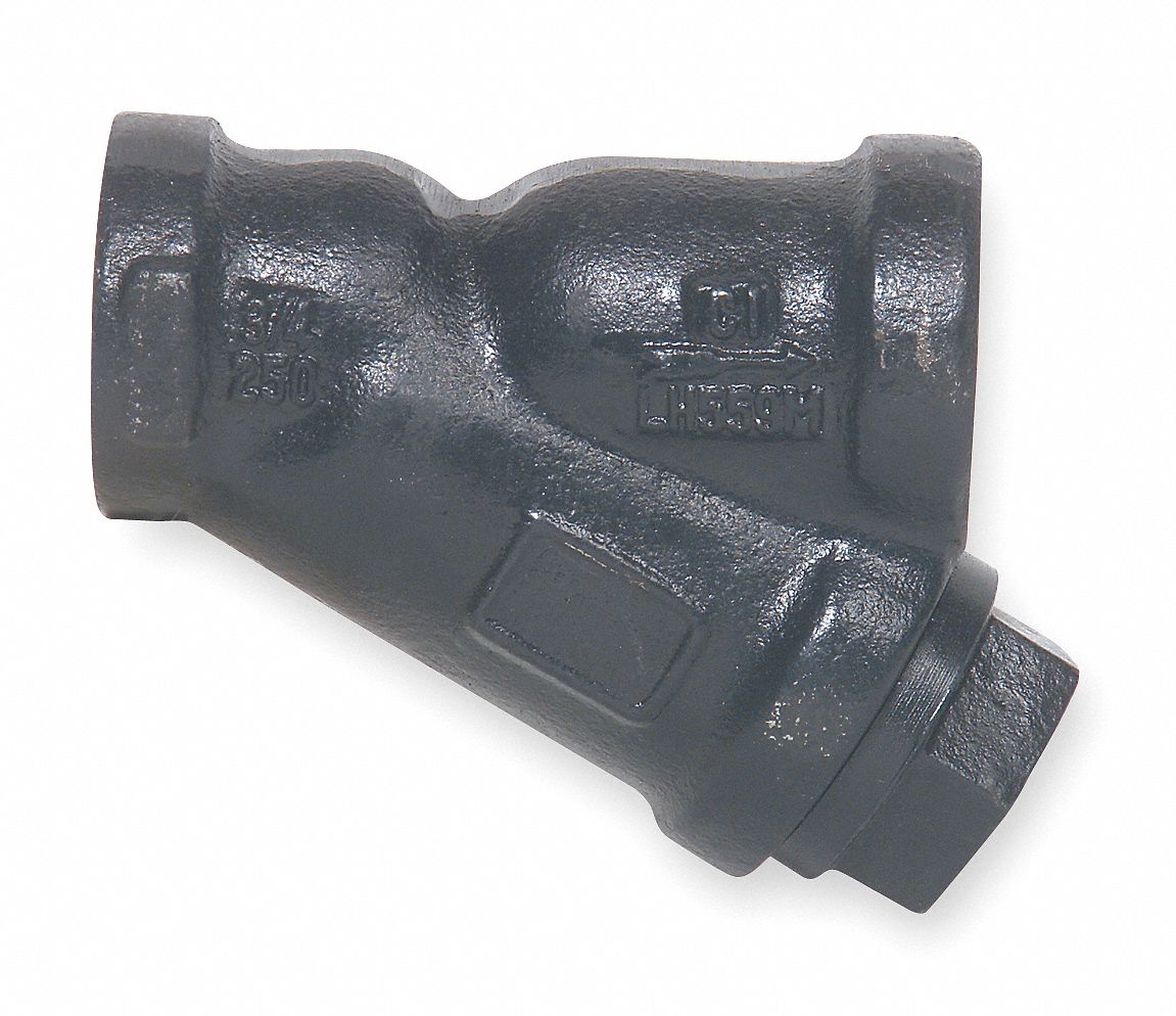Strainer, Pipeline Y, 1 In
