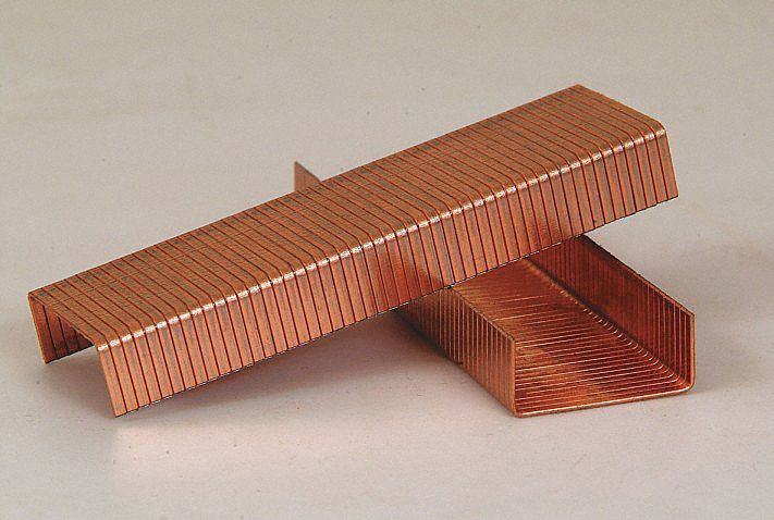 Carton Staples, Stick, 1-3/8x5/8 L, PK25000
